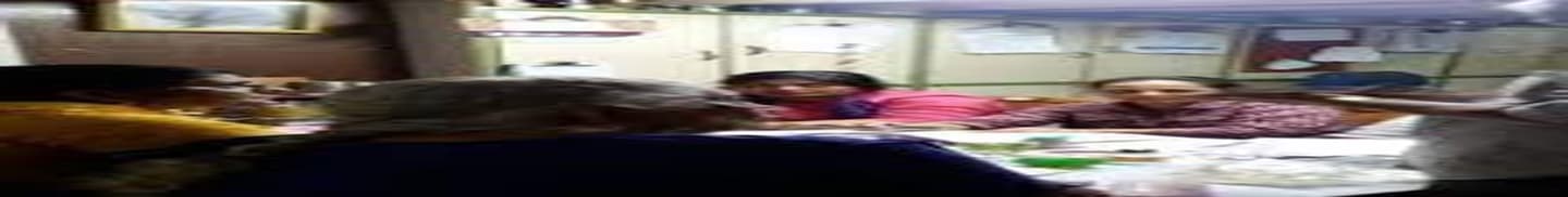 Niral Business Institute